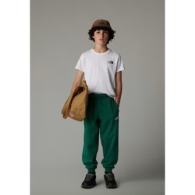 SS25---the north face---NF0A8DRPFN41.JPG
