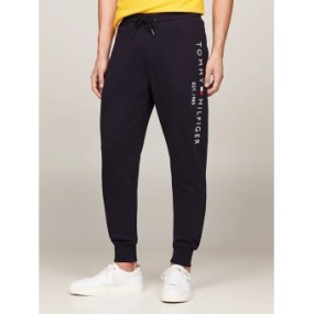 SS24---tommy hilfiger---MW0MW08388DW5.JPG